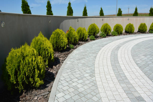 Reasons to Select Us for Your Driveway Paving Requirements in Laurel Park, NC